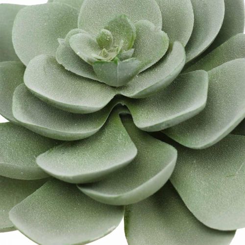 Floristik24 Konstgjorda suckulenta deco konstgjorda växter grön 11×8,5cm 3st