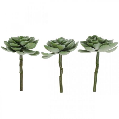 Floristik24 Konstgjorda suckulenta deco konstgjorda växter grön 11×8,5cm 3st