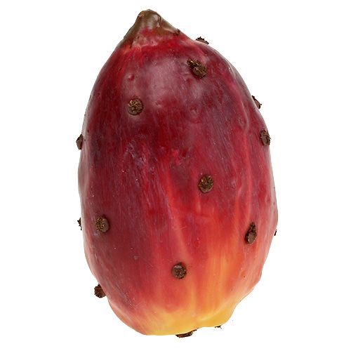 Artikel Konstgjorda prickly pear assorterade färger 8,5cm 3 st