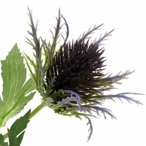 Floristik24 Artificiell tistel gren blå-violett 68cm 3st