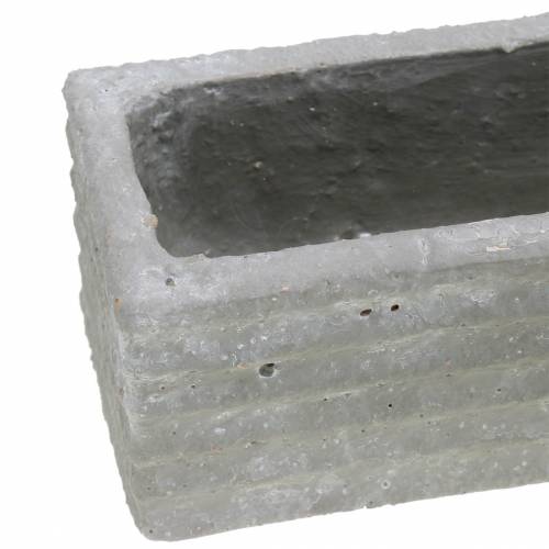 Floristik24 Växtlåda betong ljusgrå 30x7cm H6,5cm 2st