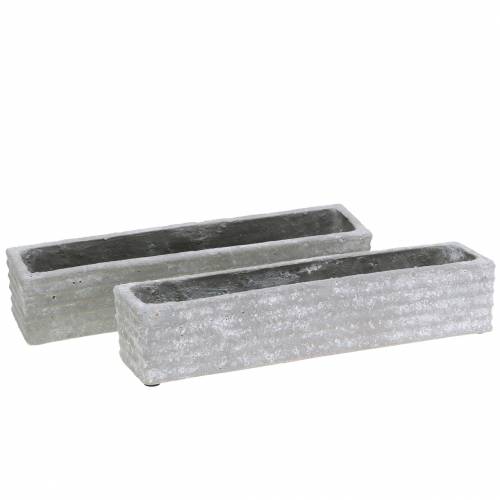 Floristik24 Växtlåda betong ljusgrå 30x7cm H6,5cm 2st
