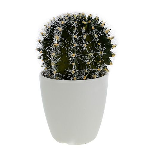 Floristik24 Kaktus i kruka Grön 14cm