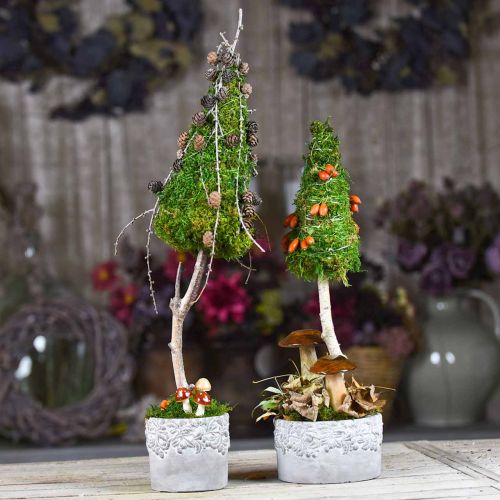 Floristik24 Plantor med ekollon och löv, planterings keramik grön, vit, grå Ø17cm H9.5cm uppsättning av 3