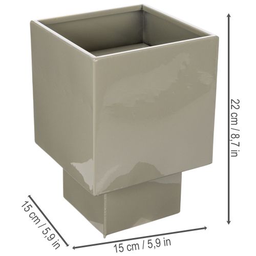 Grön kubplanter, 22 cm, med