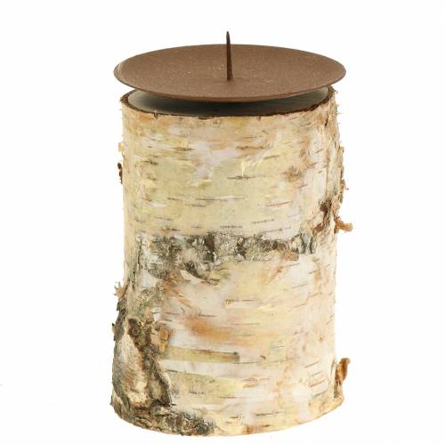 Floristik24 Ljusstake björk Ø8cm H14cm