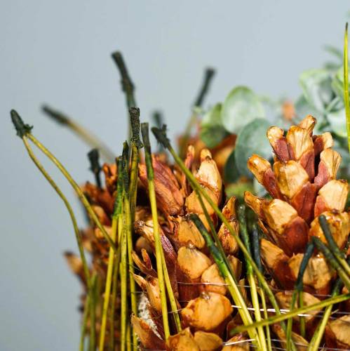 Floristik24 Tallnålar gröna 400g