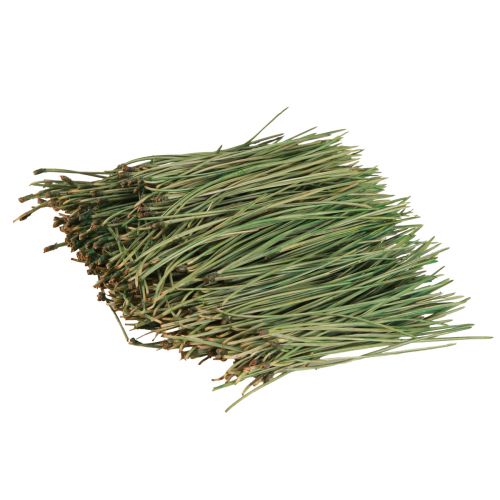 Floristik24 Barr grönt hantverksmaterial Jul 50g 3st