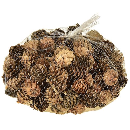 Artikel Kottar, naturliga små kottdekorationer i nät 2,5-3,5 cm 300 g