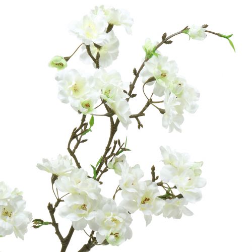 Floristik24 Körsbärsblom gren vit 105cm