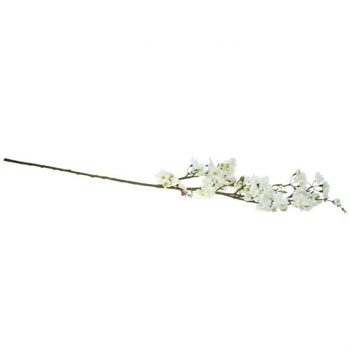 Floristik24 Körsbärsblom gren vit 105cm