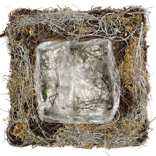 Floristik24 Kudde mossa, vinstockar 25cm x25cm