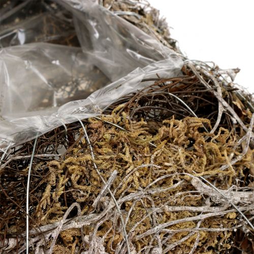 Floristik24 Kudde mossa, vinstockar 25cm x25cm