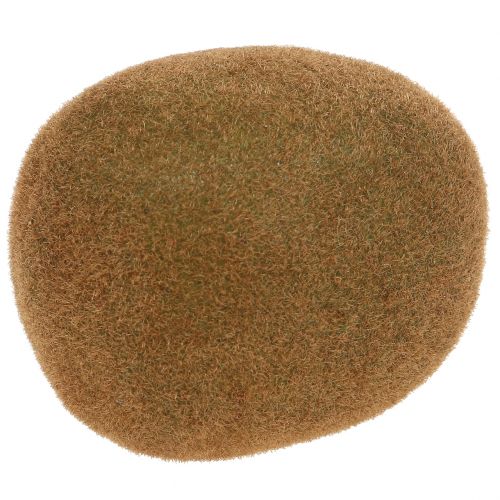 Kiwi 7,5 cm