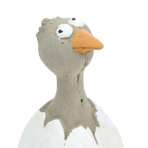 Floristik24 Dekorativ figur kyckling i ägg H16,5cm 3st