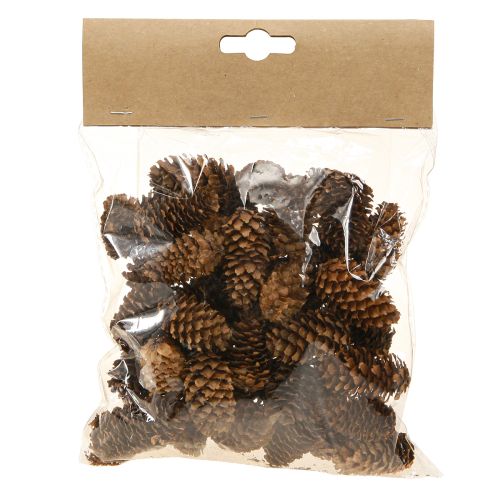 Floristik24 Små odörtkottar dekorativa naturliga kottar advent 3-4cm 100g
