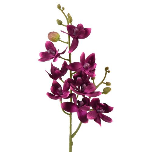 Liten orkidé Phalaenopsis konstgjord blomma mörklila 30cm