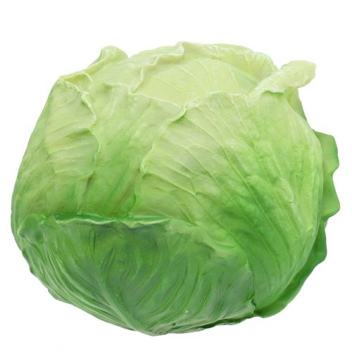 Floristik24 Vitkål Ø16cm