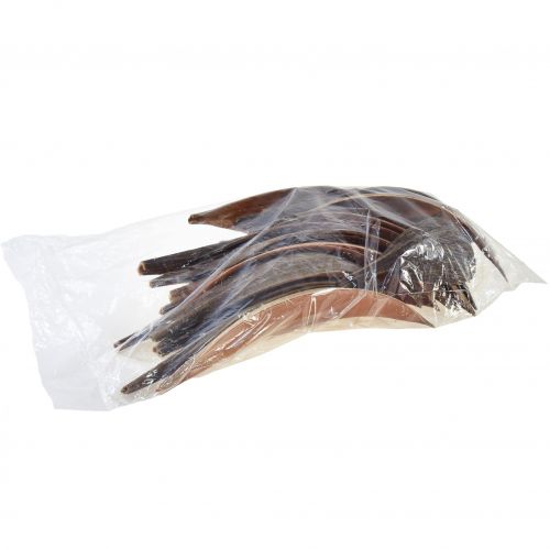 Artikel Kokosnötskal kokosblad naturligt torkade 22cm - 42cm 25 st