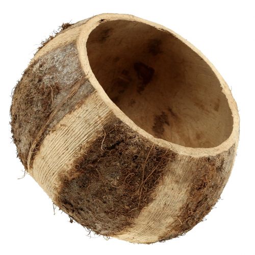 Artikel Kokosnötskal naturliga 5st