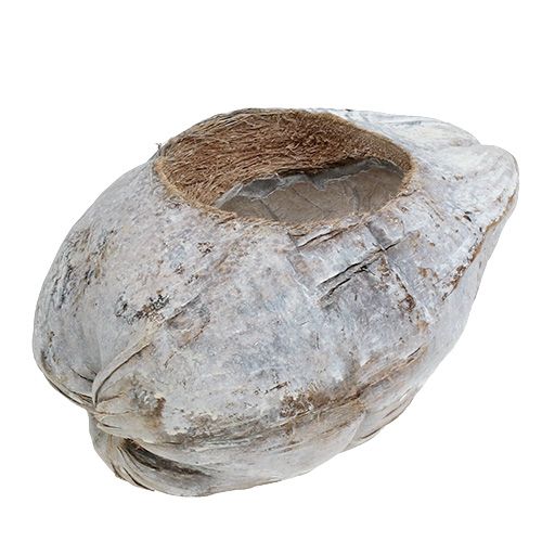 Plantera kokosnötsvita 16 cm x 22 cm H14cm