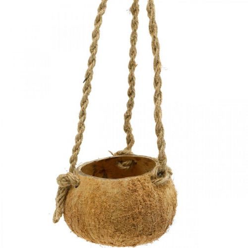 Floristik24 Hängande kokosskål, naturlig växtskål, hängkorg Ø8cm L55cm