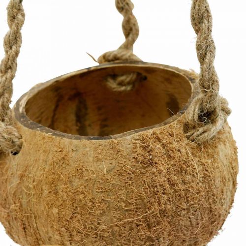 Artikel Hängande kokosskål, naturlig växtskål, hängkorg Ø8cm L55cm