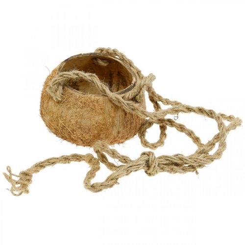 Artikel Hängande kokosskål, naturlig växtskål, hängkorg Ø8cm L55cm