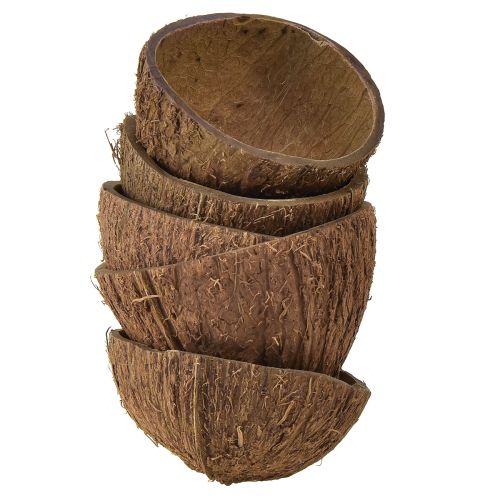 Floristik24 Kokosskål dekoration naturliga halva kokosnötter Ø7-9cm 5 st