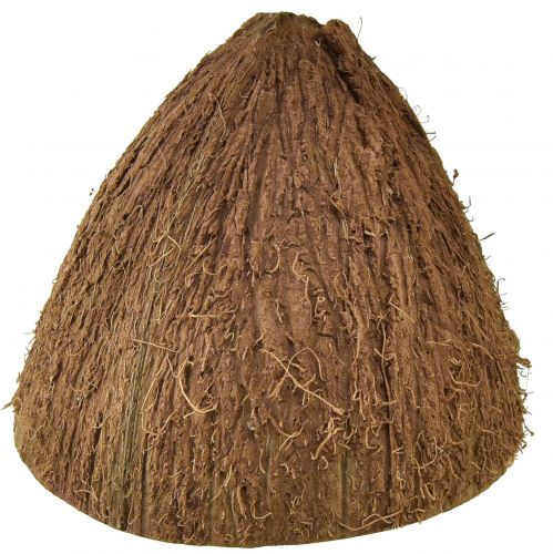 Floristik24 Kokosskål dekoration naturliga halva kokosnötter Ø7-9cm 5 st