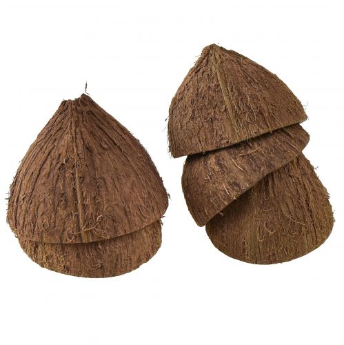 Floristik24 Kokosskål dekoration naturliga halva kokosnötter Ø7-9cm 5 st