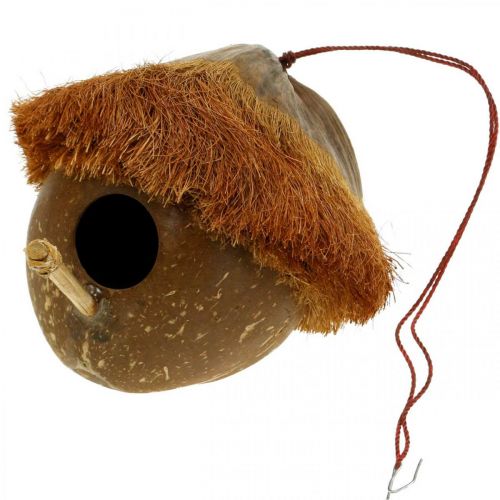 Floristik24 Kokos som häcklåda, fågelhus att hänga, kokosnötsdekoration Ø16cm L46cm