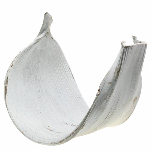 Floristik24 Kokosskål kokosblad vittvättad naturlig dekoration 35cm