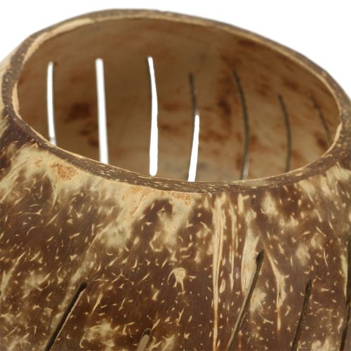 Artikel Kokosnötskal polerad med ränder naturliga Ø12cm - Ø14cm 1p