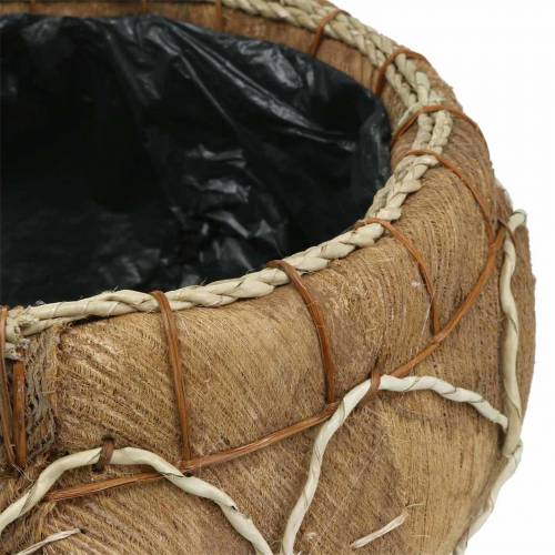 Floristik24 Planter kokosnöt naturlig Ø37 / 24cm, uppsättning av 2