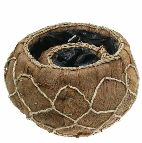 Floristik24 Planter kokosnöt naturlig Ø37 / 24cm, uppsättning av 2