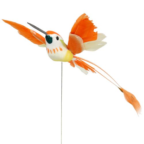 Floristik24 Kolibri på kabeln för att ansluta rosa, orange 17 cm 6st