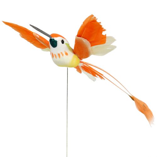 Floristik24 Kolibri på kabeln för att ansluta rosa, orange 17 cm 6st