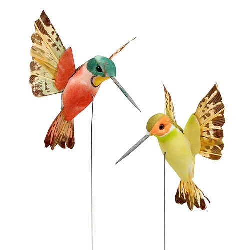 Floristik24 Hummingbird med tråd 5,5cm L22cm assorterad 12st