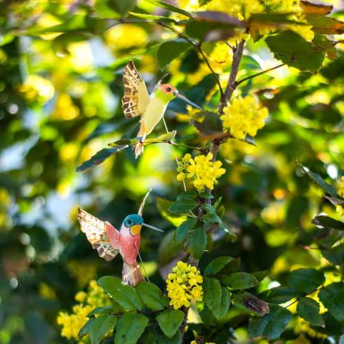 Floristik24 Hummingbird med tråd 5,5cm L22cm assorterad 12st