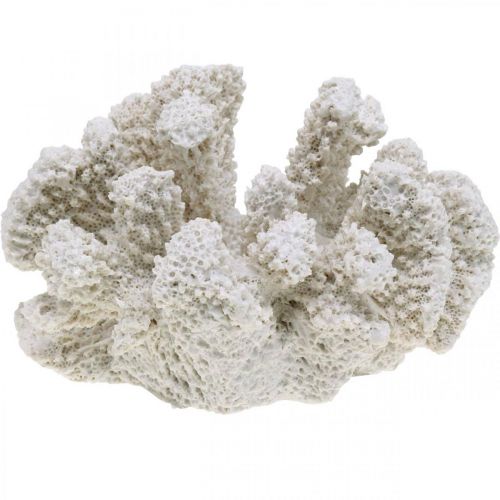 Floristik24 Maritim dekor korallvit konstgjord polyresin liten 13,5x12 cm