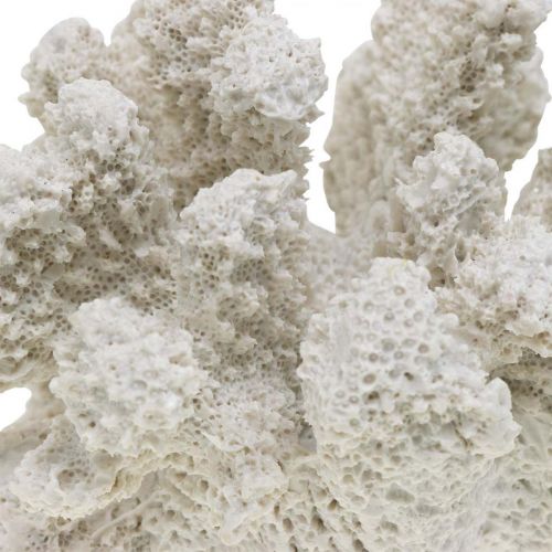 Floristik24 Maritim dekor korallvit konstgjord polyresin liten 13,5x12 cm