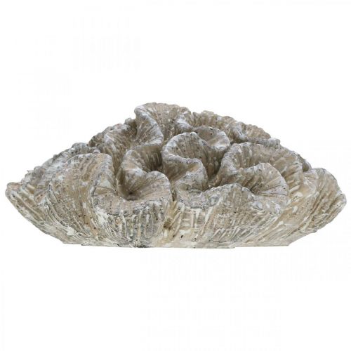 Artikel Maritim dekoration korall beige vit konstgjord polyresin 23x20cm