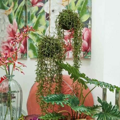 Floristik24 Korallkaktus konstgjord Rhipsalis hängare 90cm