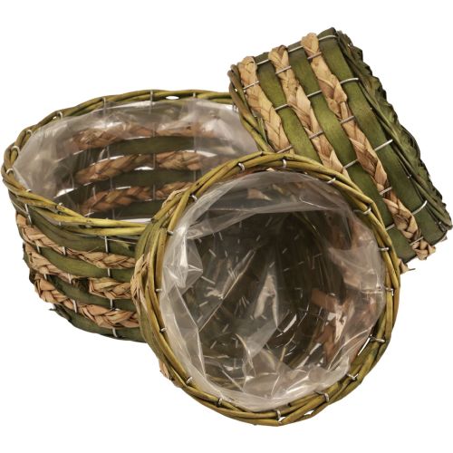 Floristik24 Korg växtkorg flätad grön 30×24/26×20/22×15cm set om 3
