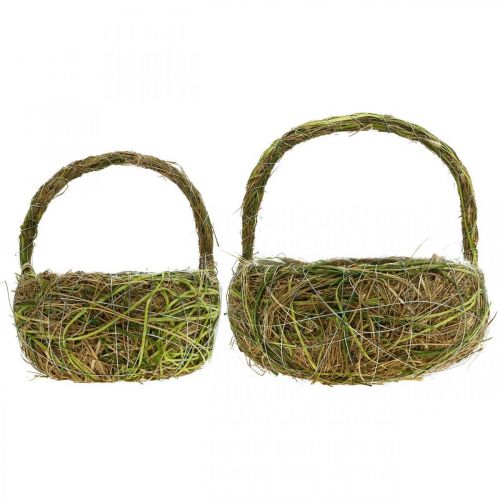 Floristik24 Växtkorg med handtag raffia och högrön korgfjäder 16×22/21×27cm set om 2