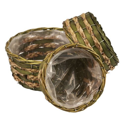 Floristik24 Korg rund växtkorg flätat grönt trä Ø26/21/18cm set om 3