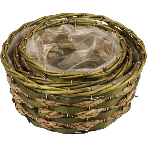 Floristik24 Korg rund växtkorg flätat grönt trä Ø26/21/18cm set om 3