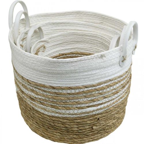 Floristik24 Korg för plantering, redskap med handtag, organisatör vit, naturlig Ø32/28/23cm H30/25/19cm set om 3