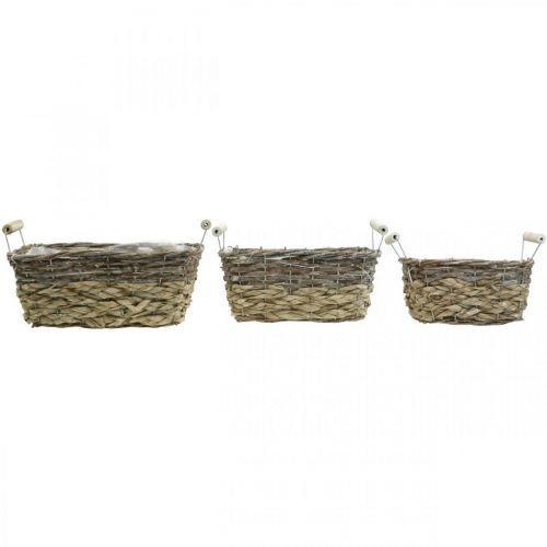 Artikel Växtkorg med handtag, fyrkantig korgskål, naturlig plantering för plantering av shabby chic tvättad vit L30/25,5/21 cm H12/11/10 cm set om 3